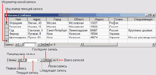 Элементы таблицы