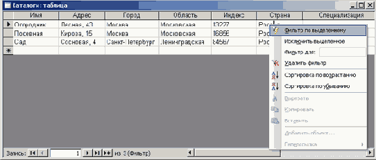 Содержимое таблицы после использования фильтра