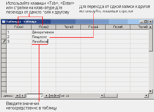 Создание таблицы путем ввода данных