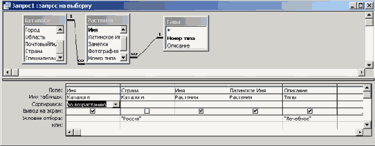 ���� ��� �������� �������� �������