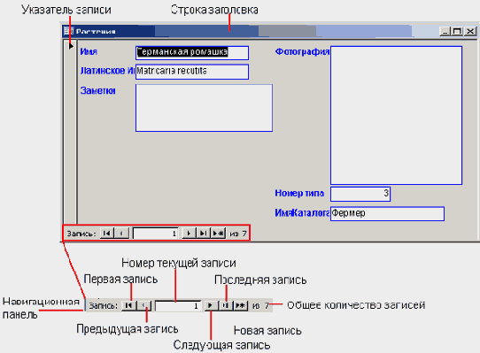 ������� ����� �������� ������ ����������