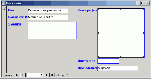 �������� ���������� ������ ����������� �����������