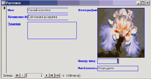 ������������� ������� ������ �� ����������� ��� ����������� ���������� ������� � �����