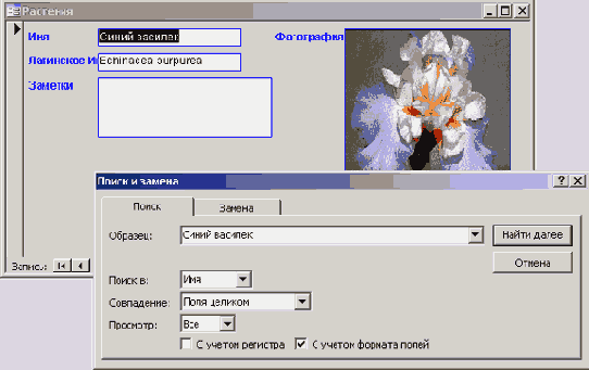 ����� ������ �� ������...