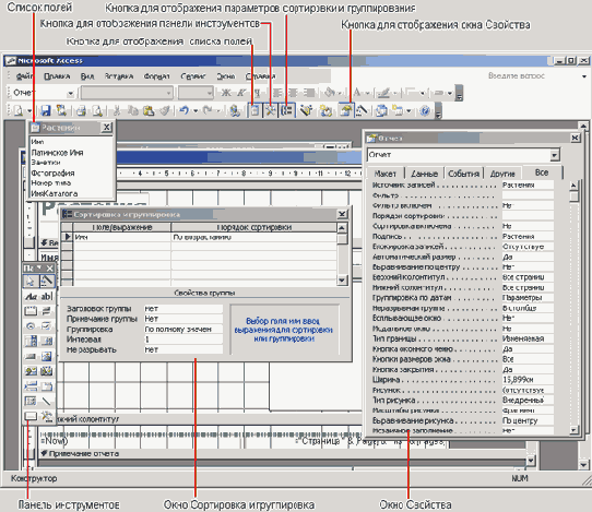 �����, �������� � ������ ������������