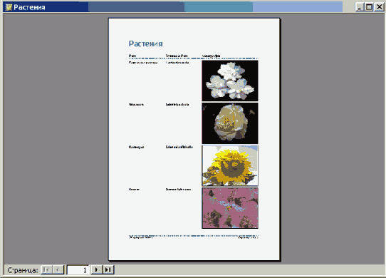 ���������� ������ ������ ��������