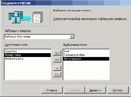 ����� ����� � ���� �������� �������