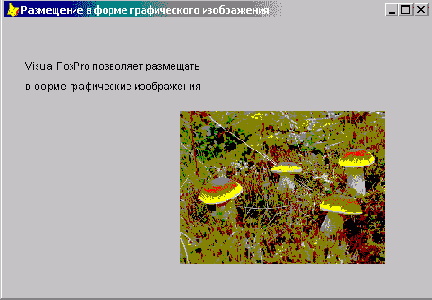 Размещение изображений в форме