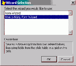 Создание многотабличной формы с помощью мастера