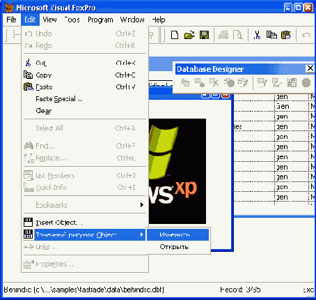 Размещение в поле таблицы нового OLE-объекта