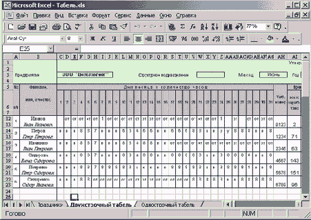 Область ввода двухстрочного табеля