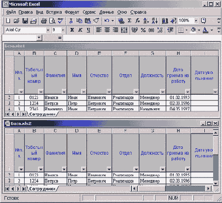 Два окна рабочего листа c табличной базой данных