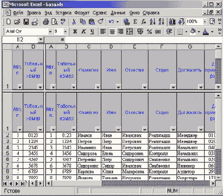 Лист с табличной базой данных, разделенный на области
