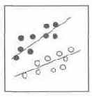 �������� ������������� ������������� ���������� ��������� 