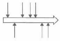 �����/������