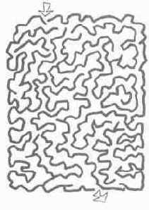 �������, ��������� 6