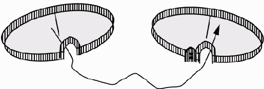 ��������� ������������