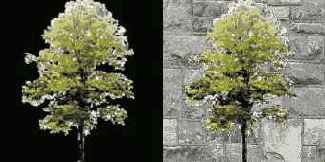 �������� ����