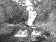 ����������� ��������� � ������� ��������� �����������