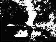 ����������� ��������� � ������� ��������� �����������