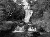 ����������� ��������� � ������� ��������� �����������