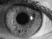 ����������� ��������� � ������� ��������� �����������