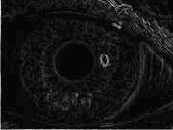 ����������� ��������� � ������� ��������� �����������