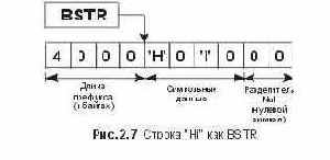 ���� ������