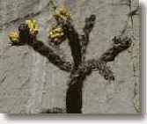 Две истории