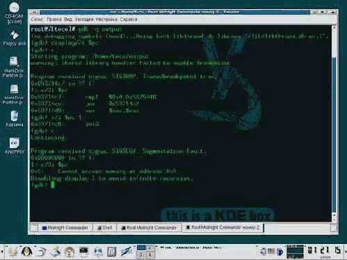 дизассемблерный фрагмент файла, защищенного протектором burneye