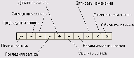 ���������� ������ ���������� TDBNavigator