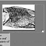 ������ � ����������� ����