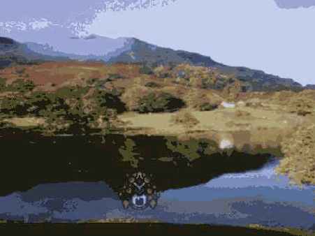 Полупрозрачность