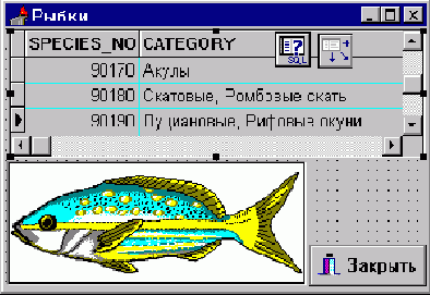 � ���, ��� ����� ���� 