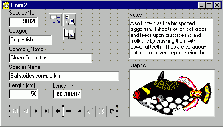 �������� ������������ ������