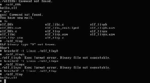 ���������������� ���� elf_tinix.asm � ���������������� �����������