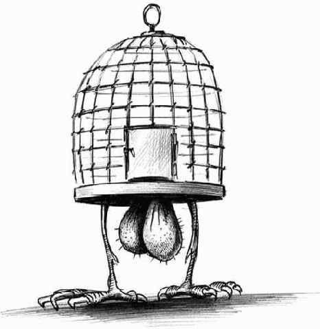 ��� ��������� ��������