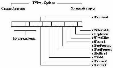 ���� Options