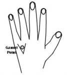 ������������������ �����