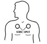 ������������������ �����