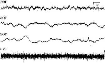 ������, ���������� � �������