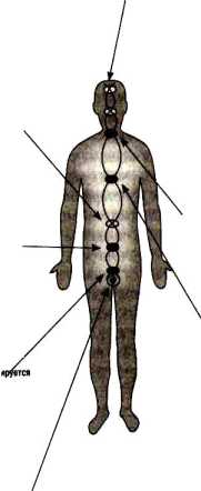 ���� �������