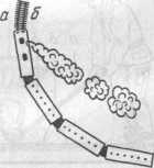 ����� ���, ����� � ���� �������� ����