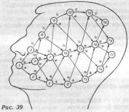 ������ ��� ���� ������ ������