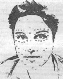 ������� ������������ ������� ����