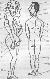 ������� ������������ ������� ����