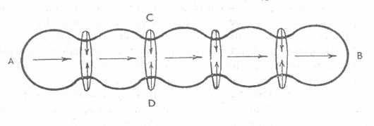 ����������� ��������������� ������