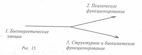 ����������������� �������� � ��������������