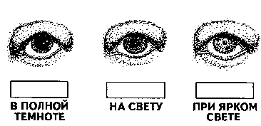 ������ 3 ������������ ���������