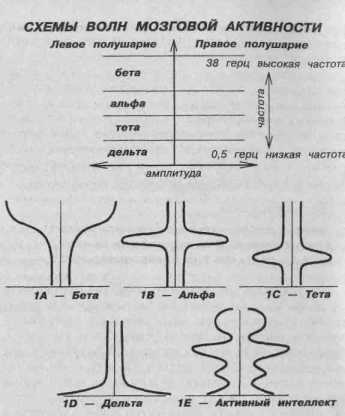 ������-�����